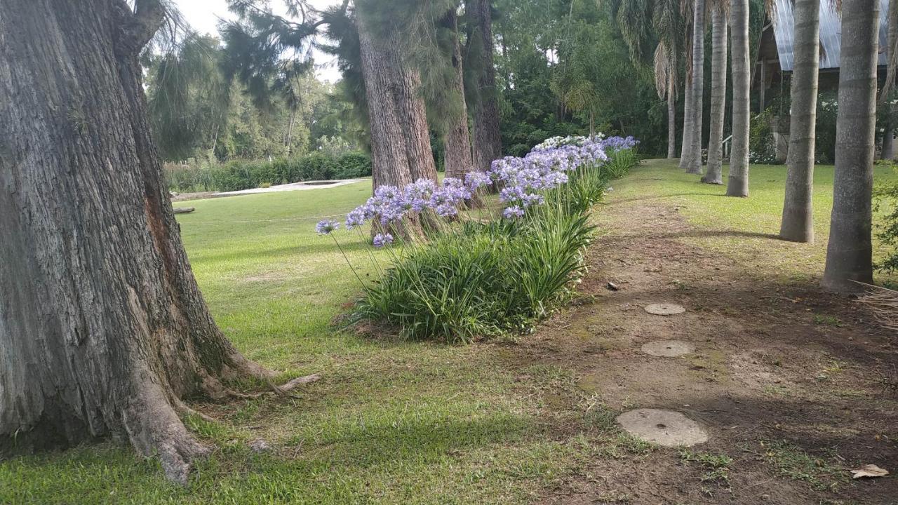 Las Casuarinas Del Rio Capitan Villa Tigre Esterno foto