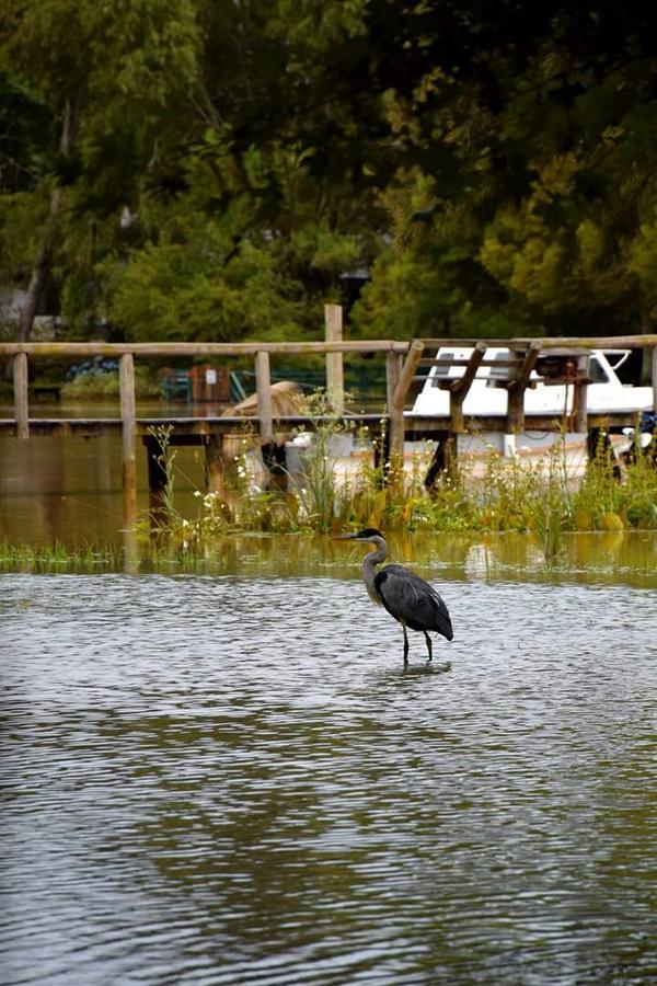 Las Casuarinas Del Rio Capitan Villa Tigre Esterno foto