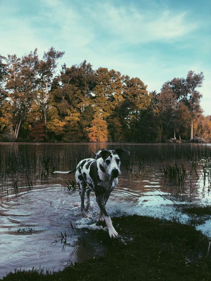Las Casuarinas Del Rio Capitan Villa Tigre Esterno foto